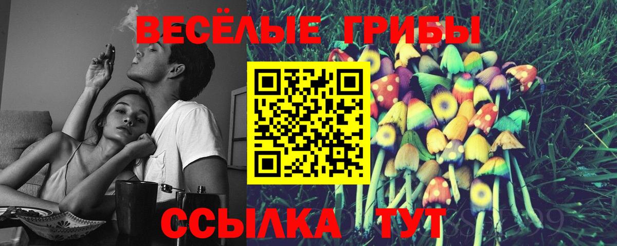 Псилоцибиновые грибы прущие грибы Великие Луки
