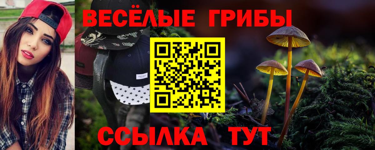 Галлюциногенные грибы ЛСД  Вход с VPN  Галлюциногенные грибы Psilocybine cubensis  Великие Луки 